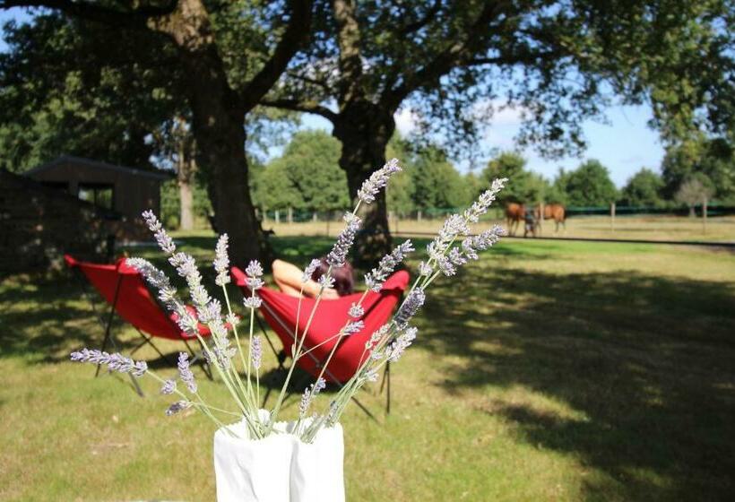 غرفة ديلوكس, La Longère De La Chevallerais