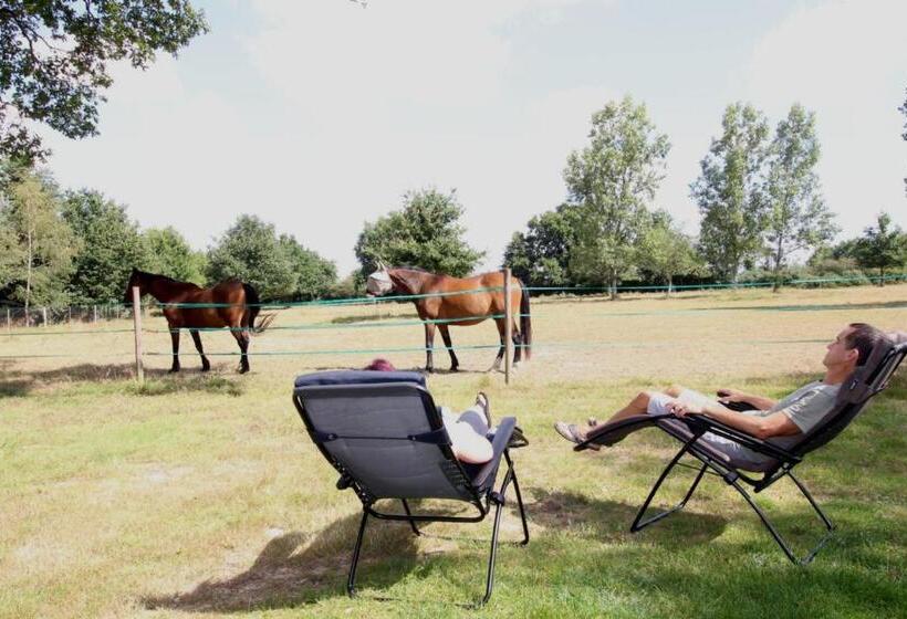 غرفة قياسية مطلّة علي الحديقة, La Longère De La Chevallerais