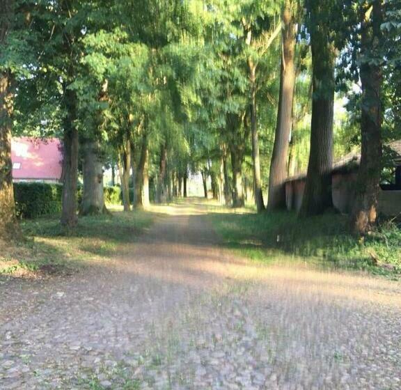 经济房, Bequemschlafen