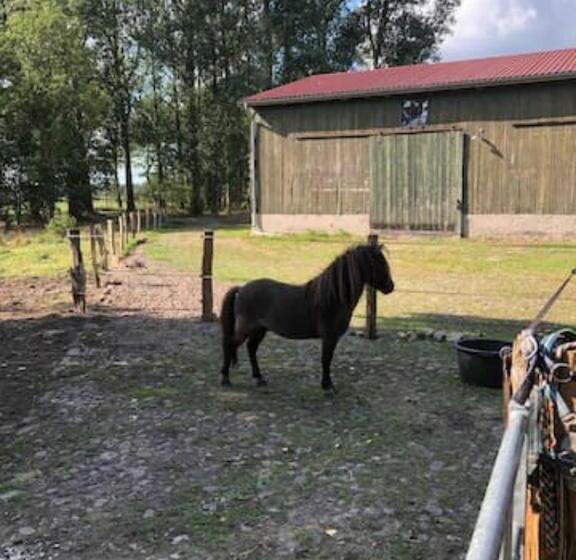 基本三人间, Bequemschlafen