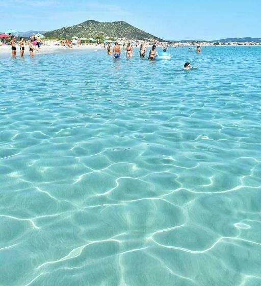 غرفة قياسية, Bed & Blu