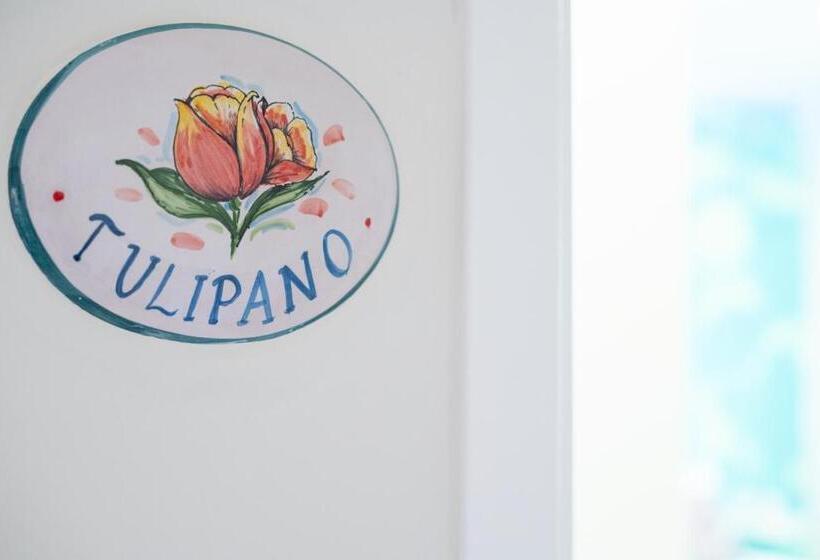 Номер Стандарт, B&b L Abbraccio