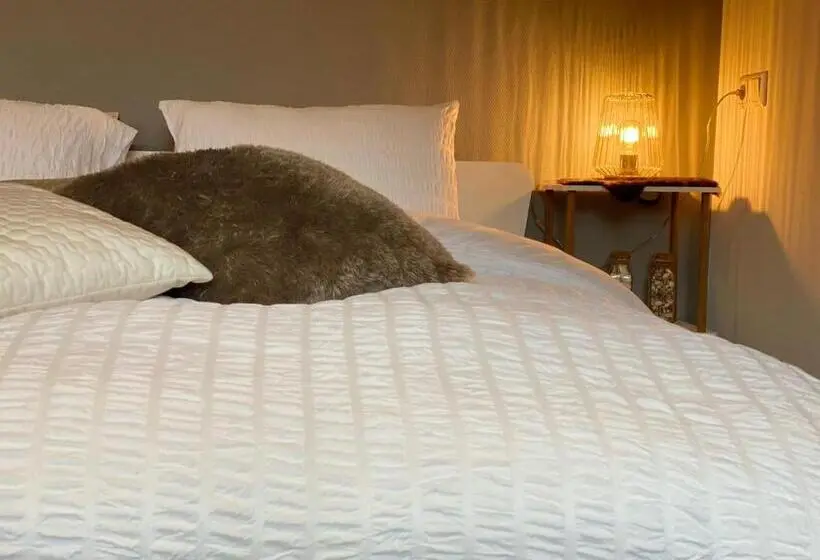 デラックスルーム, B&b Zen