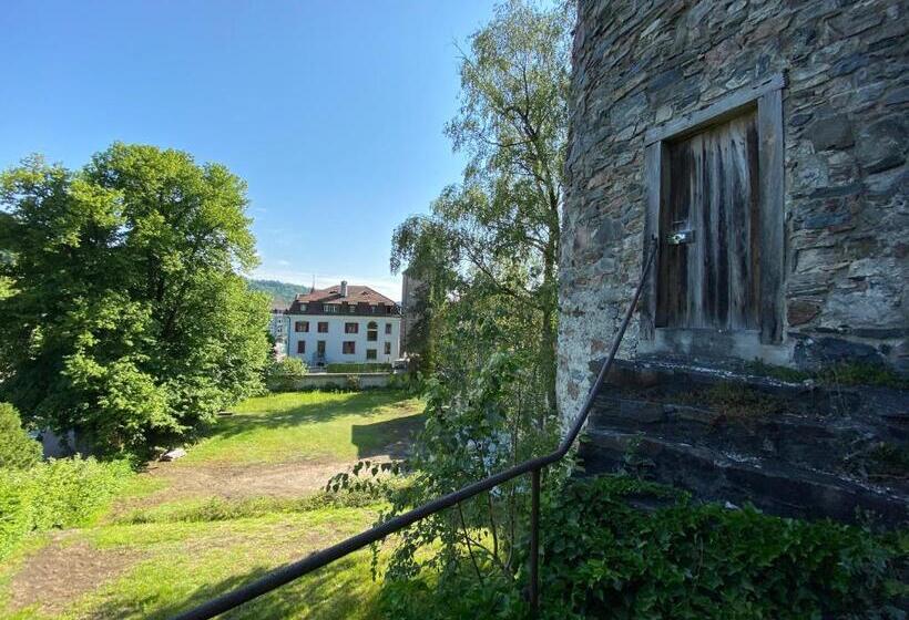 חדר סטנדרט נוף לגינה, Haus Am Schlossberg