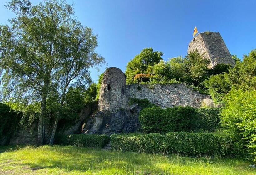 חדר סטנדרט נוף לגינה, Haus Am Schlossberg