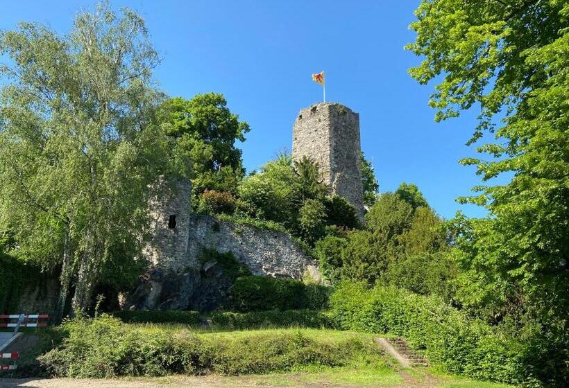 חדר יחיד נוף לגינה, Haus Am Schlossberg