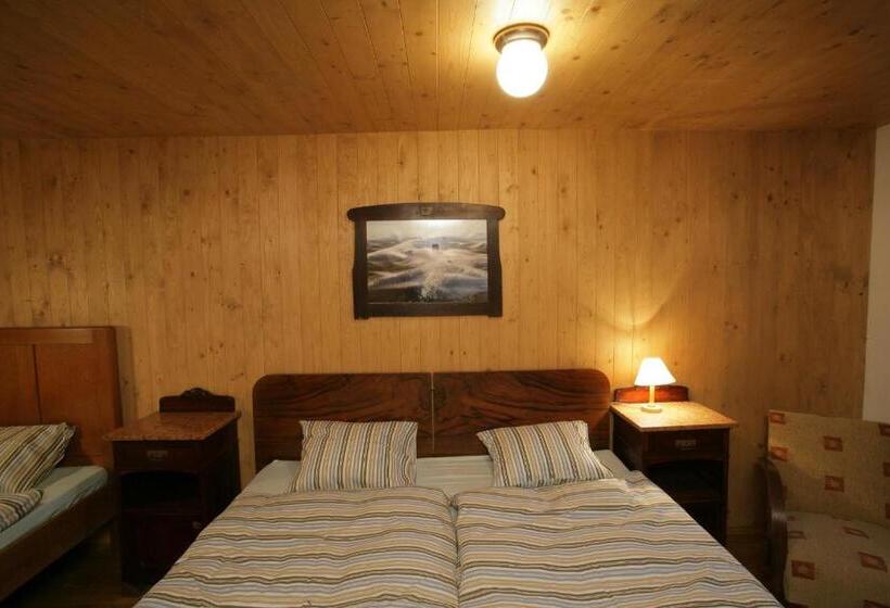 带1个卧室的豪华公寓, Apartmány Chalupa U Floriánka