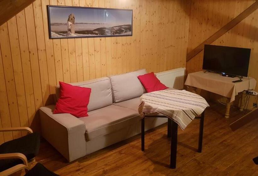 带1个卧室的豪华公寓, Apartmány Chalupa U Floriánka