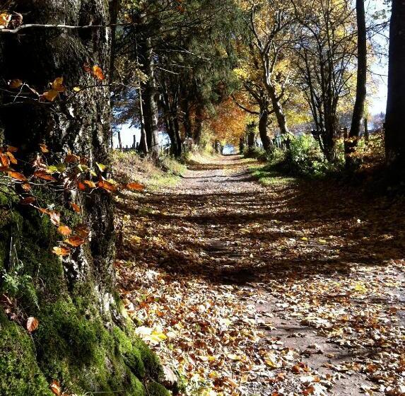 패밀리 룸, B&b Pegasus Ii   Chambre De Luxe Avec Sauna Privatif