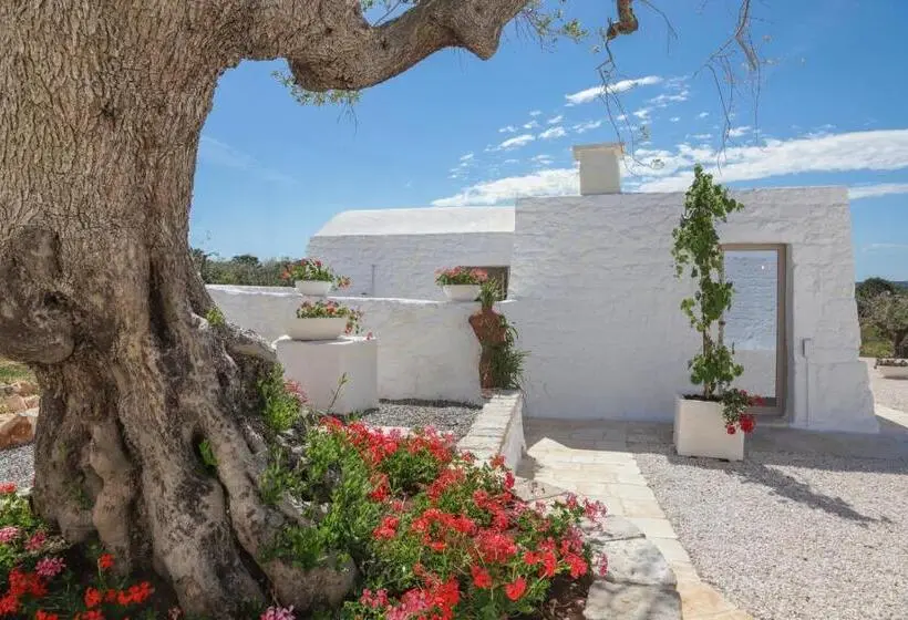 Superior-huone, Petranima Wellness In Trulli