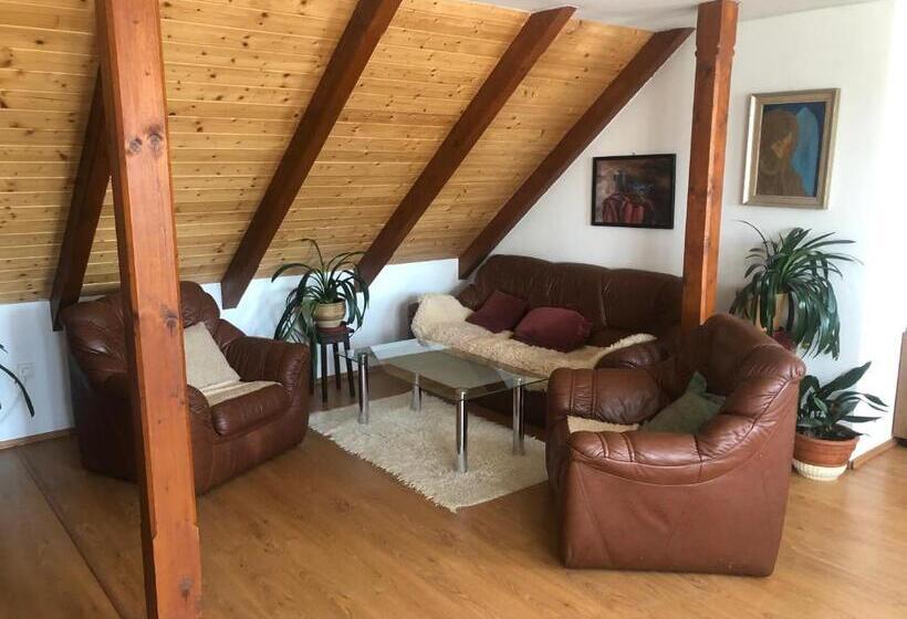 浴室共有ファミリールーム, Ubytování Pod Haniperkem