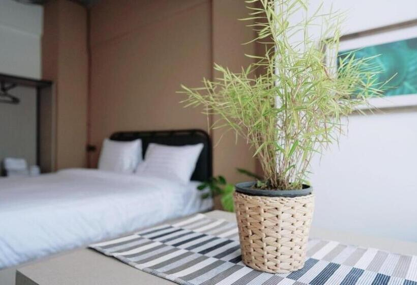 高级大房间, The Wood