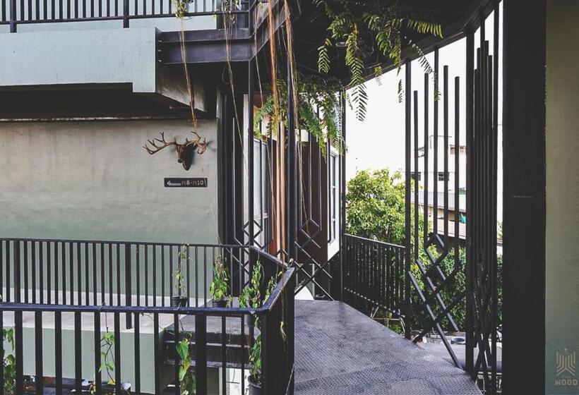 高级大房间, The Wood