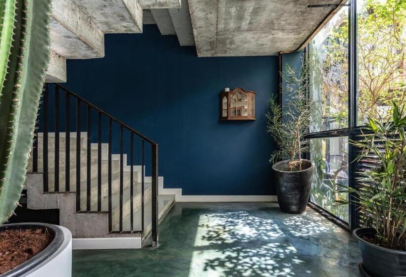 高级大房间, The Wood