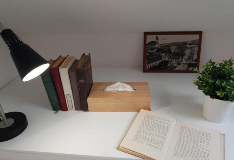 标准单人间, Pribina Penzión