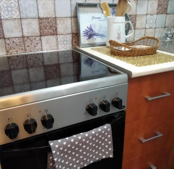 شقة غرفة نوم واحدة بالطابق الأرضى, Rozmaring Vendégház