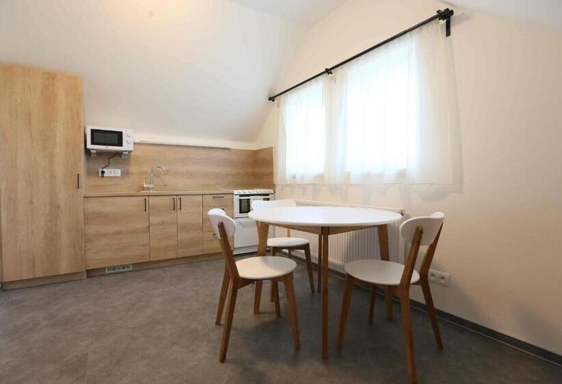 דירת חדר, Apartmány Aura