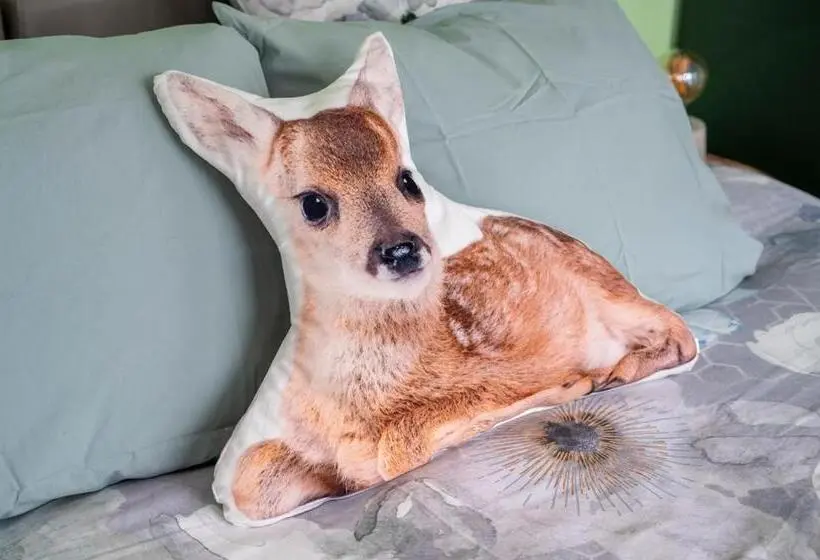 キングサイズベッドのスタンダードルーム, Le Val Des Cerfs   Het Hertendal