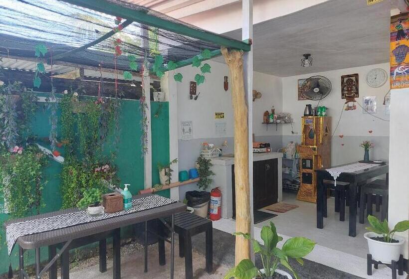 Ekonomiskt Rum, Maui S Place