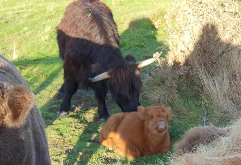 فيلا غرفتين نوم, Ruby S Cottage Farm Stay