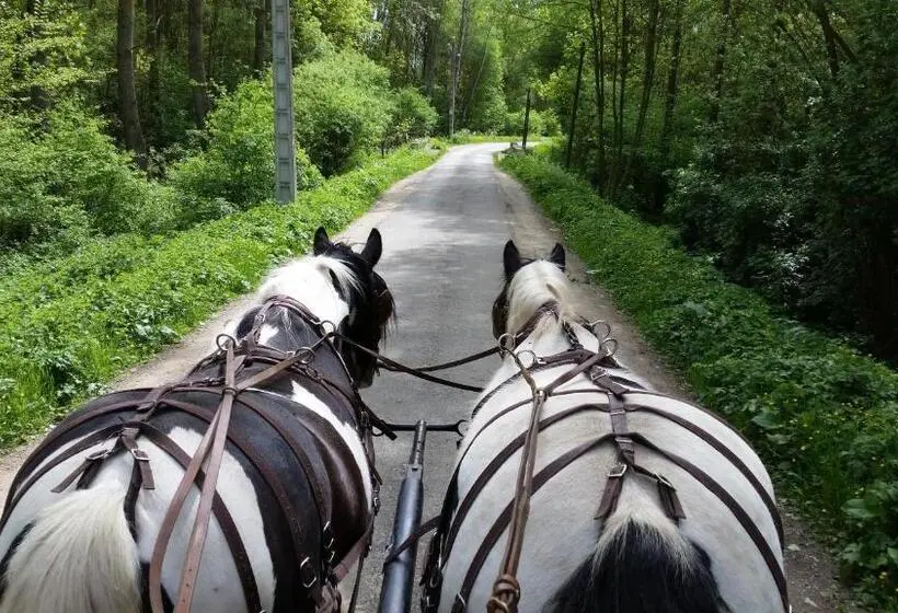 ファミリールーム, Les Chevaux De L Hippocampe