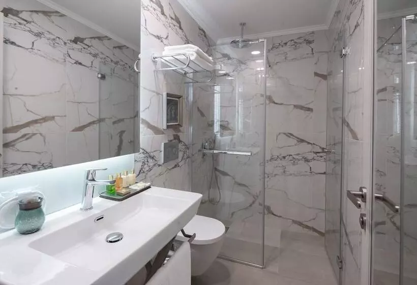 スタンダードルーム, Akka Suites Taksim Special Class