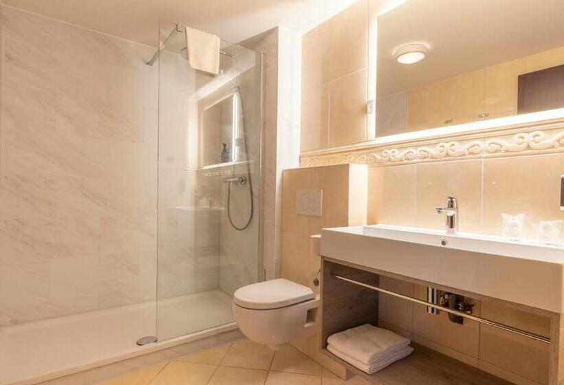 Номер Стандарт Адаптированный для Инвалидов, Fletcher Familiehotel De Hunzebergen