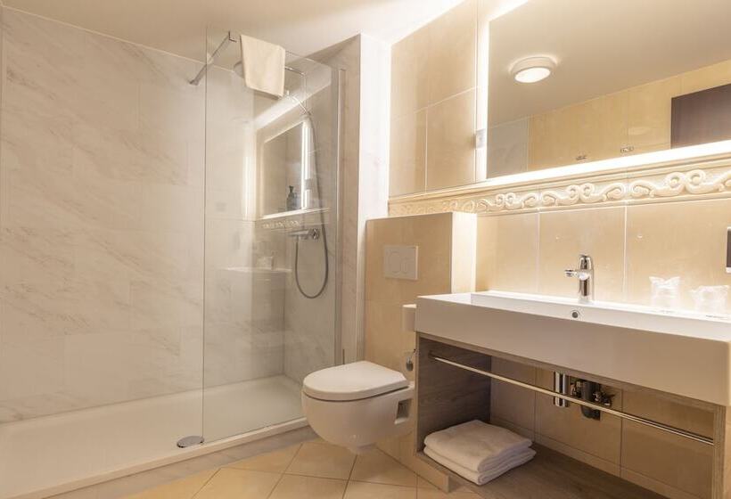 Номер Стандарт Адаптированный для Инвалидов, Fletcher Familiehotel De Hunzebergen