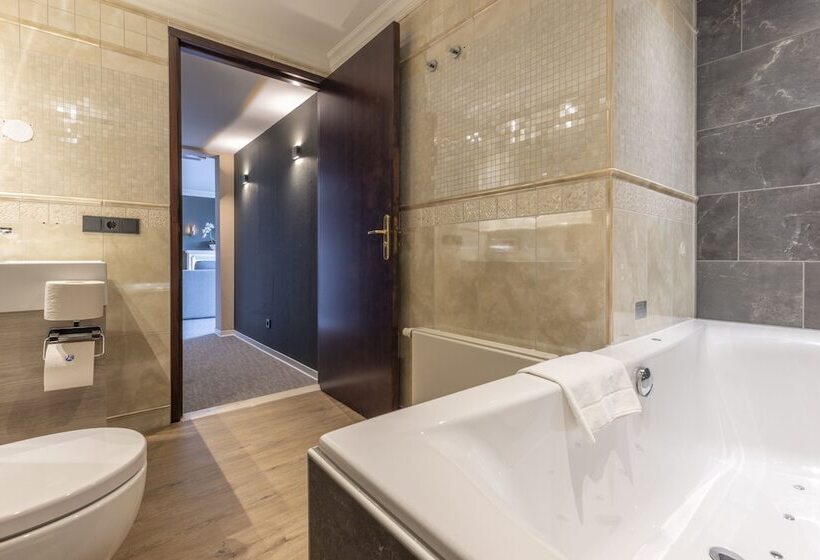 Королевский Люкс, Fletcher Familiehotel De Hunzebergen
