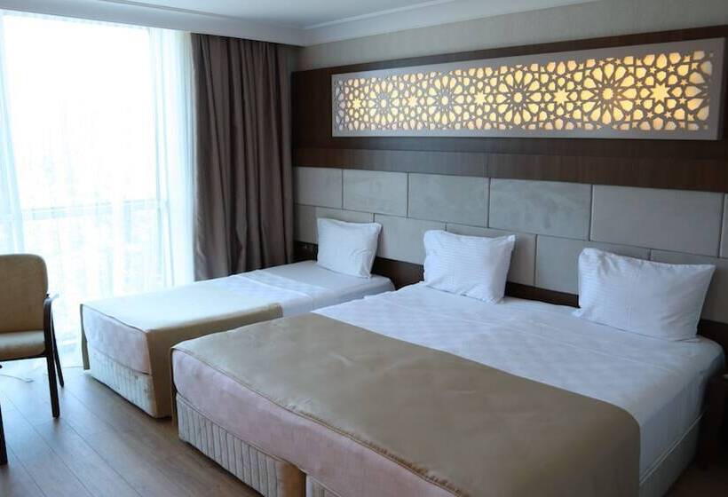 اتاق استاندارد سه نفره, Bm Hotel City