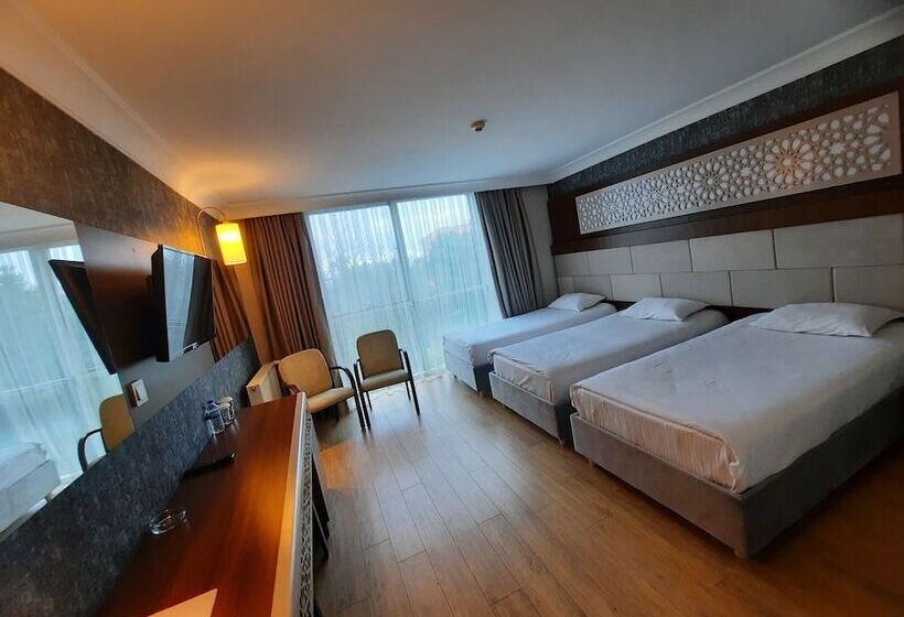 اتاق استاندارد سه نفره, Bm Hotel City