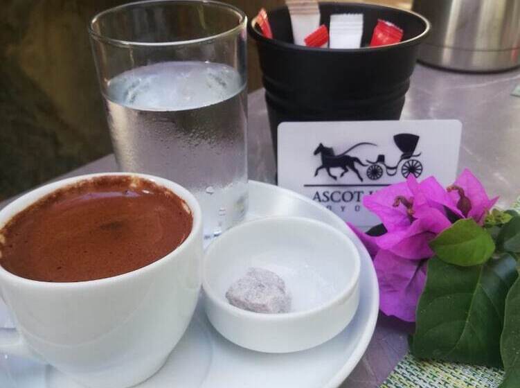 חדר אקונומי, Ascot Hotel Büyükada