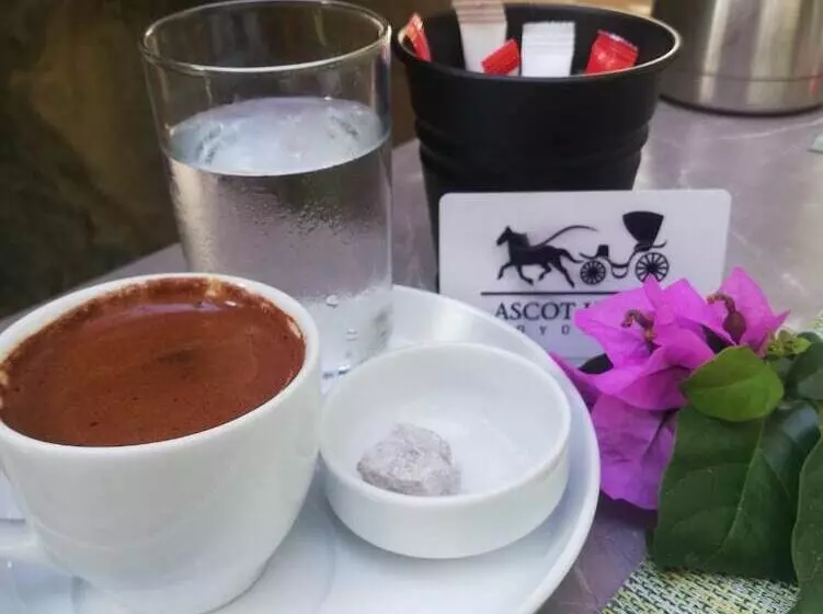 اتاق اکونومی, Ascot Hotel Büyükada