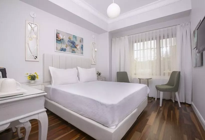 اتاق اکونومی, Ascot Hotel Büyükada