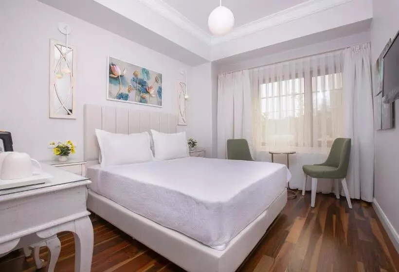 اتاق اکونومی, Ascot Hotel Büyükada