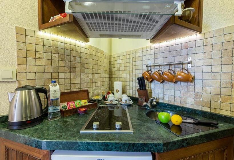 דירת חדר עם טרסה, Best Point