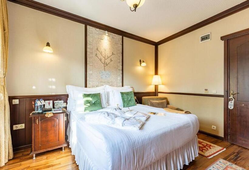 חדר סופריור עם טרסה, Best Point