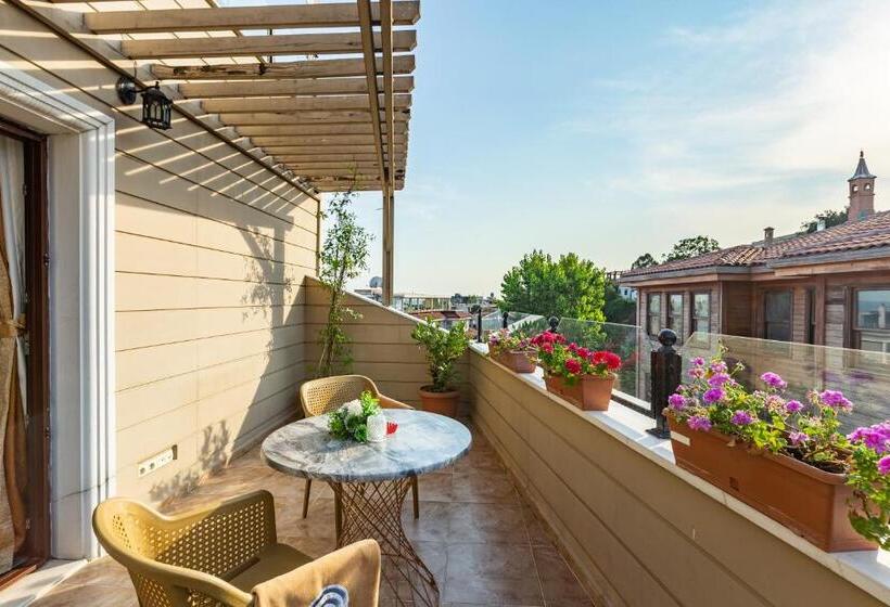 חדר סופריור עם טרסה, Best Point