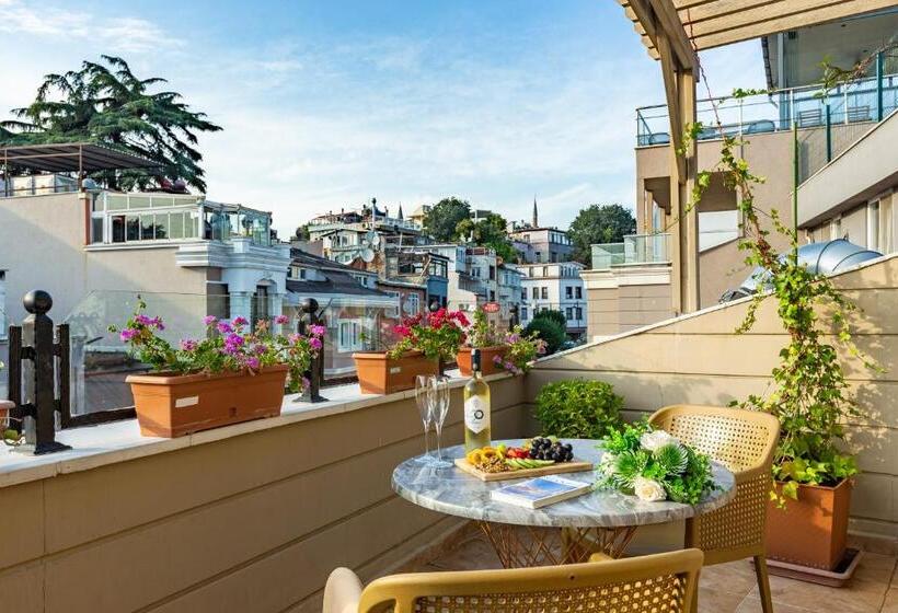 חדר סופריור עם טרסה, Best Point