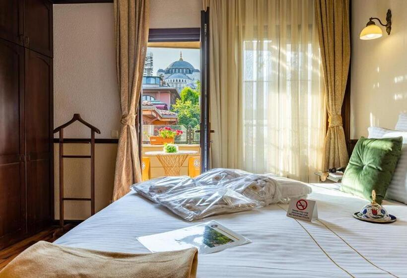 חדר סופריור עם טרסה, Best Point