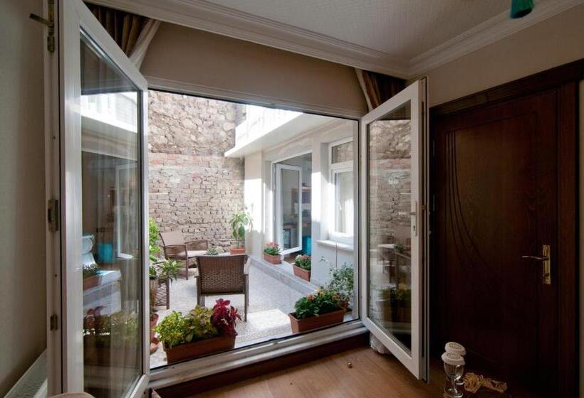 סוויטה משפחתית, Best Point