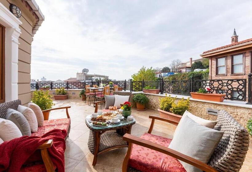 דירת חדר עם טרסה, Best Point