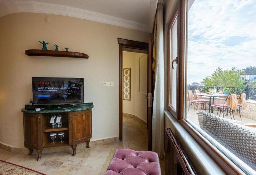 דירת חדר עם טרסה, Best Point