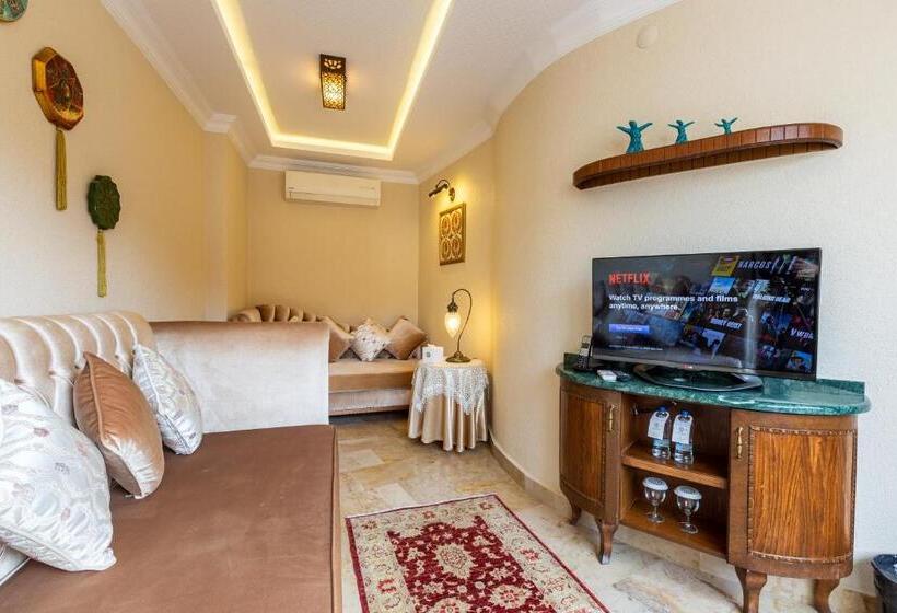 דירת חדר עם טרסה, Best Point