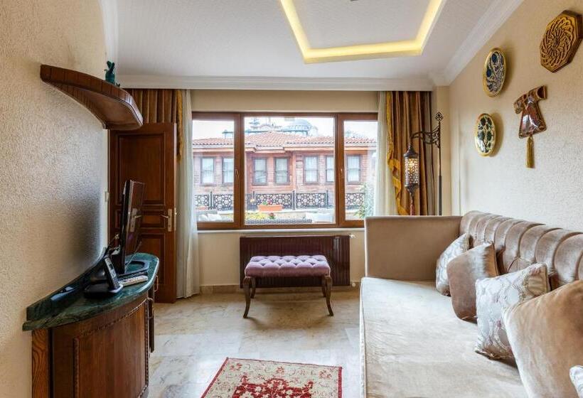 דירת חדר עם טרסה, Best Point