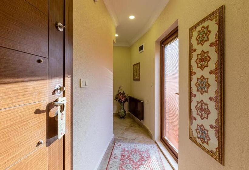 דירת חדר עם טרסה, Best Point