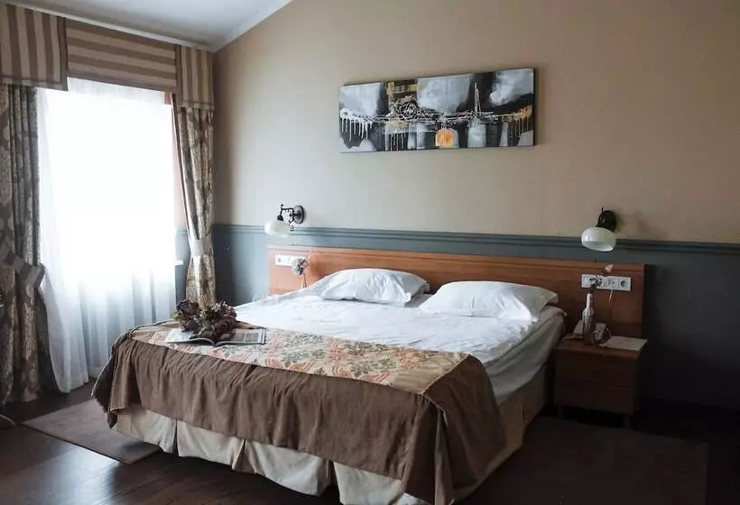 اتاق سوپریور, Frapolli Hotel On Deribasivska Street