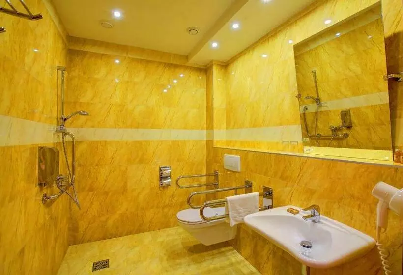 اتاق استاندارد یک تخته برای معلولان, Holiday Park