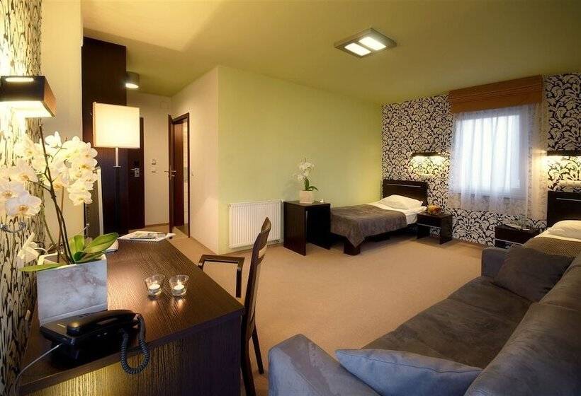 Номер Стандарт Трехместный, Hotton