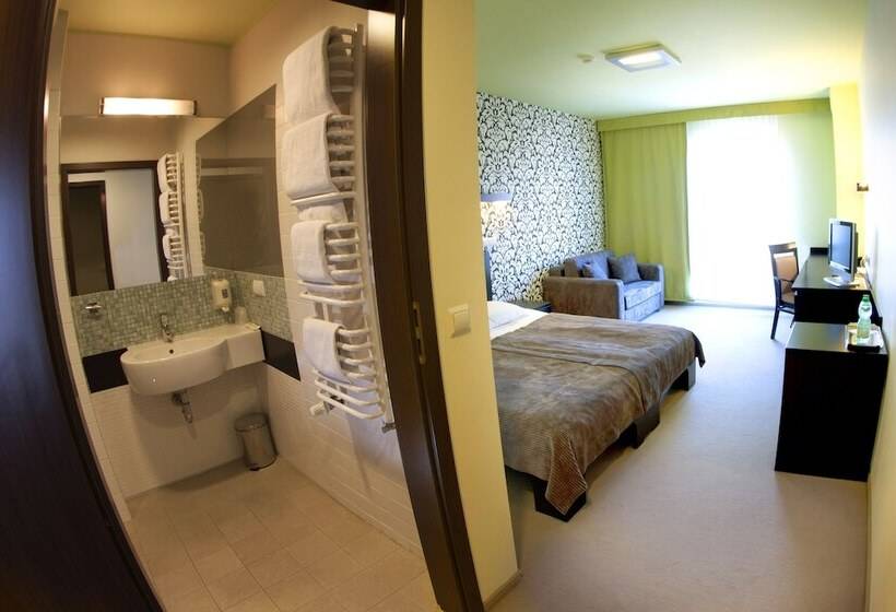 Номер Стандарт Трехместный, Hotton